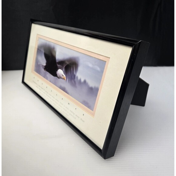 Excellence King Of The Skies Eagle Framed Photo Art Frank Oberle Photography - Picture 6 of 13